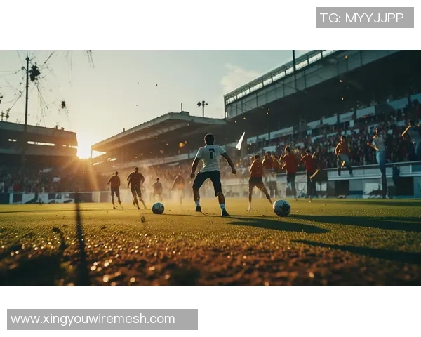 以足球星专属背景打造属于球迷的荣耀时刻燃动绿茵激情盛宴