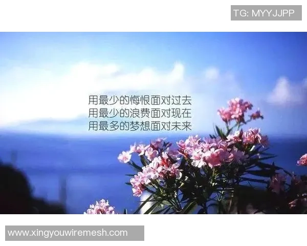 足球巨星正能量名言集锦激励人生拼搏与奋斗的动力