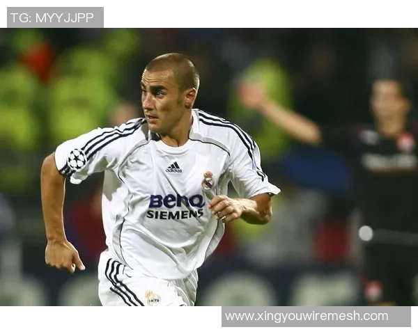 足球巨星封面震撼登场：赛场英雄演绎精彩瞬间与传奇故事