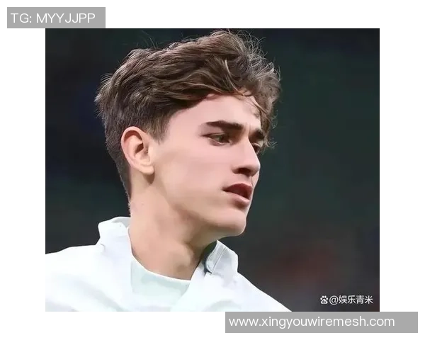 足球界最具性价比球员排行榜：这些球星低价却表现惊艳