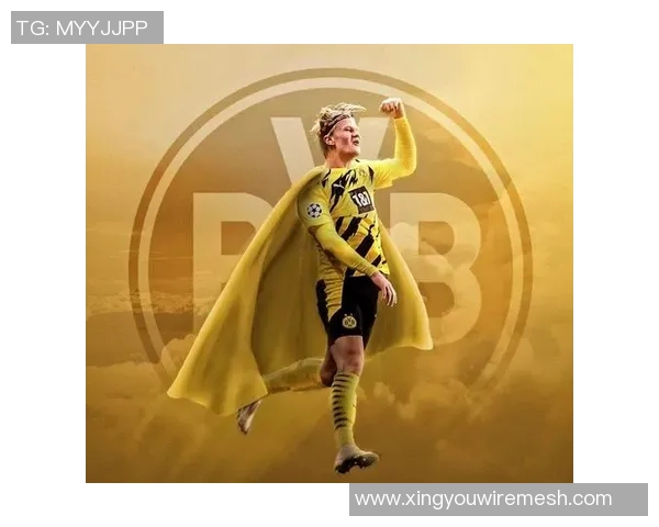 齐耶赫头像背后的故事与球场传奇之路